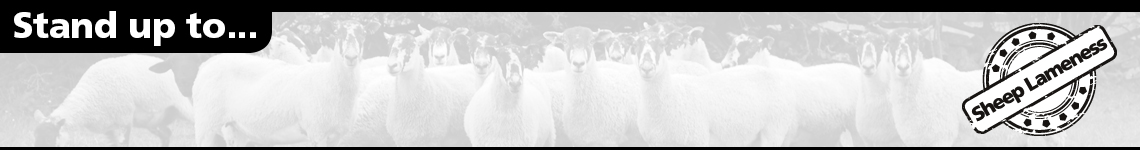 Sheep Lameness Banner